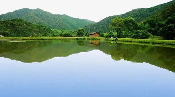 低温蒸发器